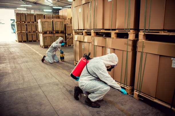 Best Best Pest Control Companies  in Bayard, NM