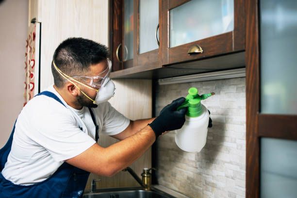 Pest Control for Restaurants in Bayard, NM