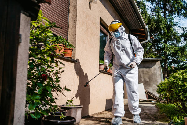 Best Pest Inspection Near Me  in Bayard, NM