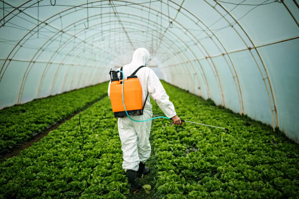 Best Pest Prevention Services  in Bayard, NM