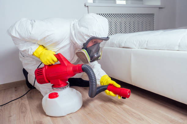 Best Flea Control Services  in Bayard, NM