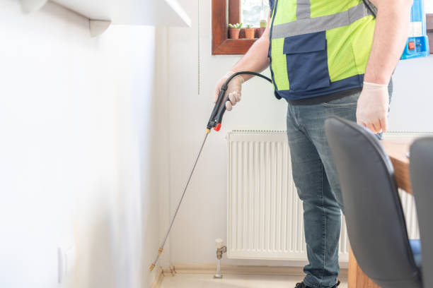 Best Termite Control Services  in Bayard, NM