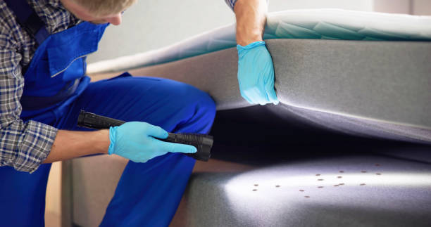 Best Pest Removal Services  in Bayard, NM